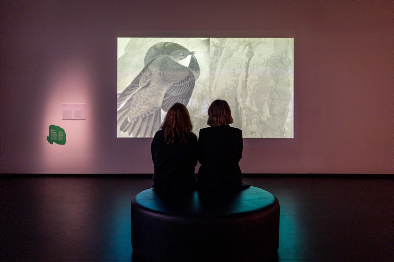 Viewing the digital artwork featured in the exhibition