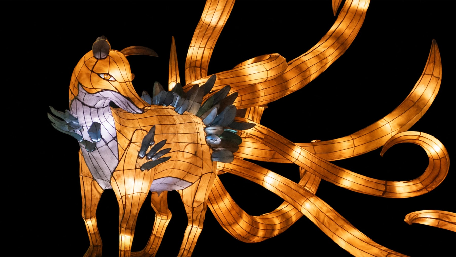 Une lanterne lumineuse de renard doré aux longues queues recourbées.
