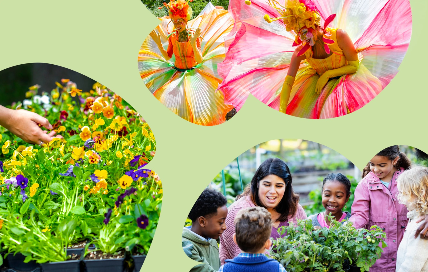 Un collage de fleurs, d’artistes en costumes colorés et d’enfants découvrant des plantes.