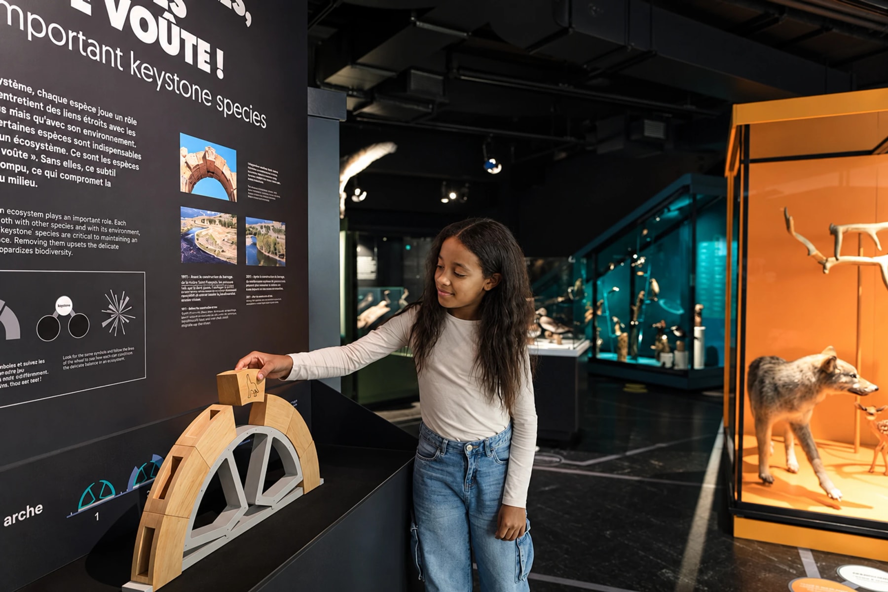 A visitor places a wooden block on an arch model in an exhibition.