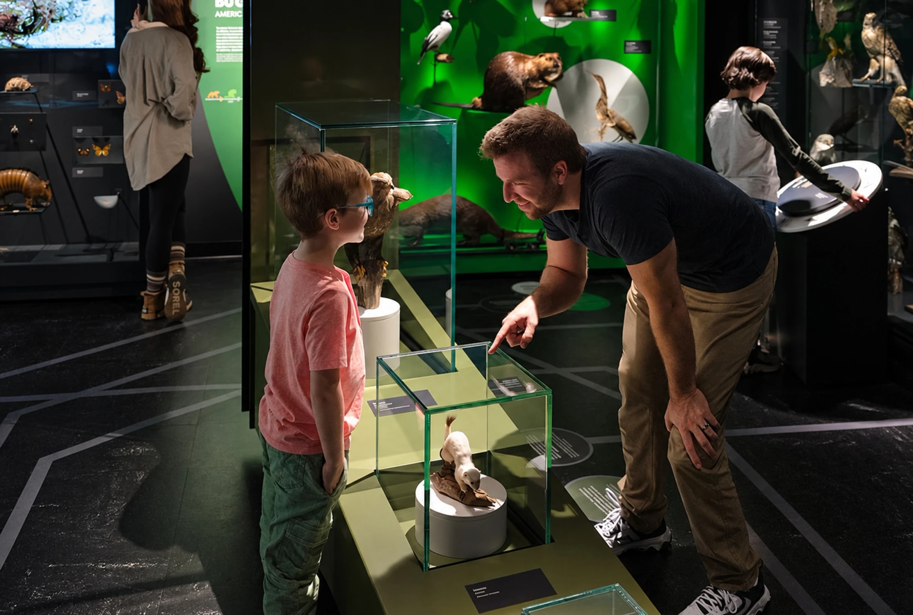 An adult points out an animal specimen to a child in a museum.