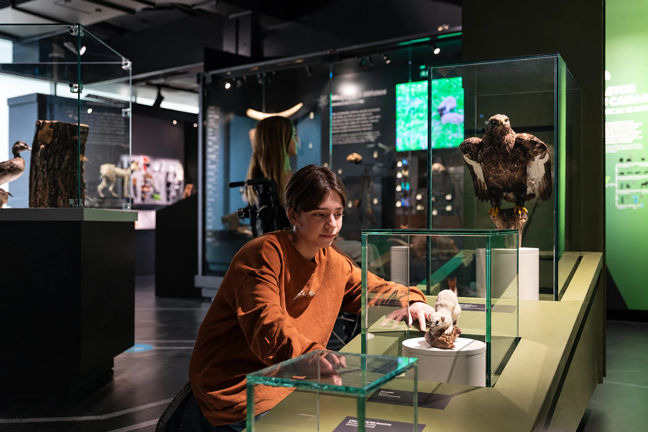 A visitor touches a small white mounted animal in an exhibition hall.