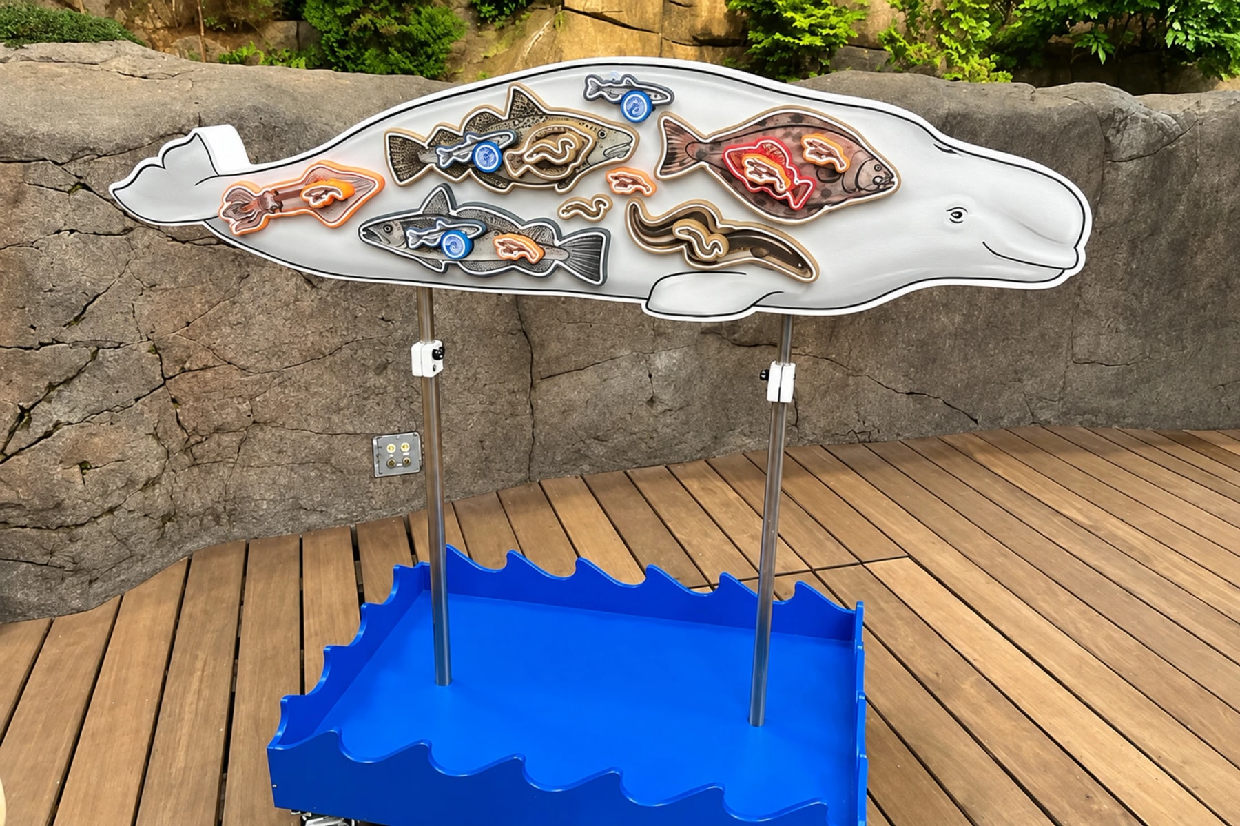A beluga-shaped puzzle whose pieces show its prey: fish and squid.