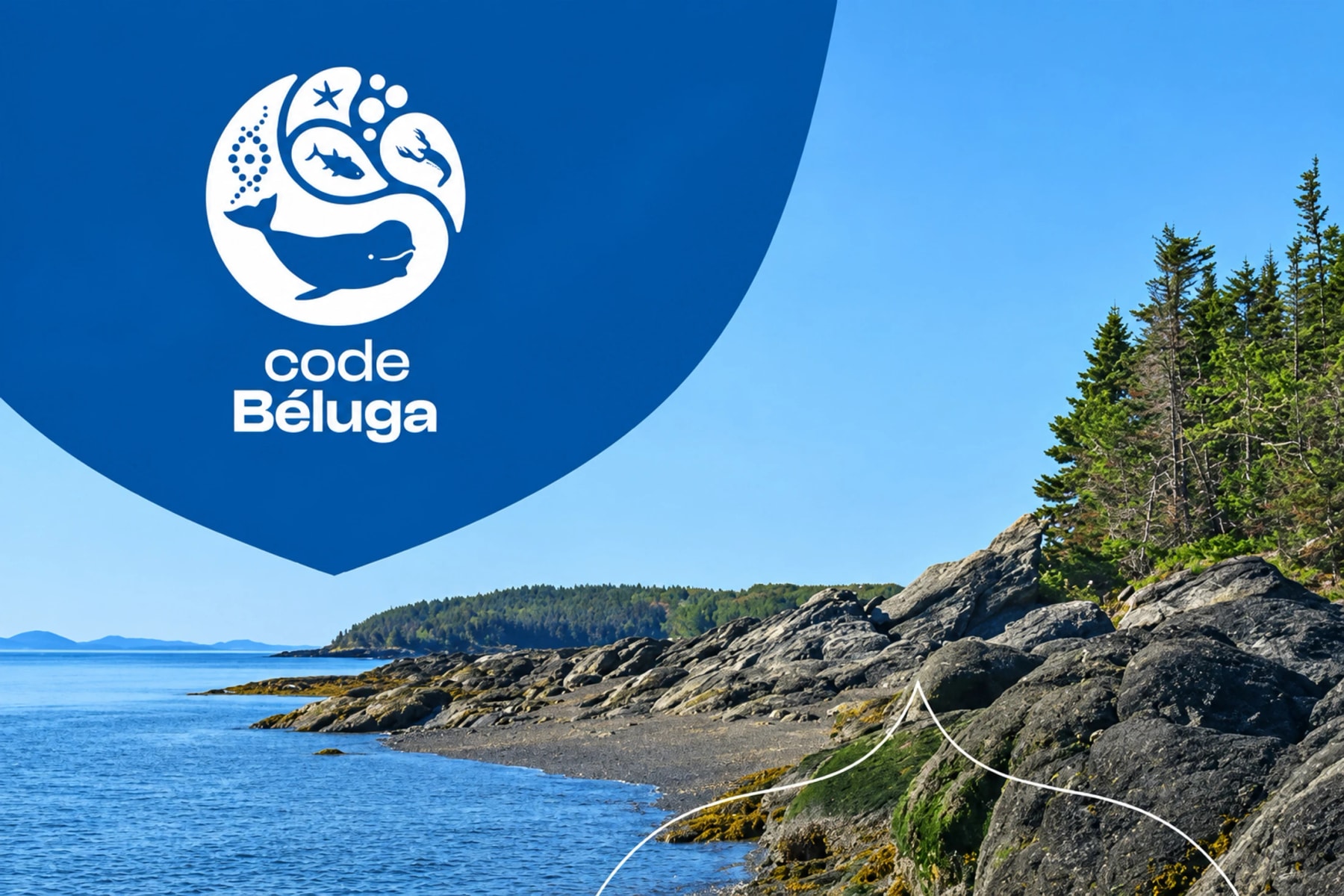 Logo de code Béluga sur une rive rocheuse bordée de conifères.