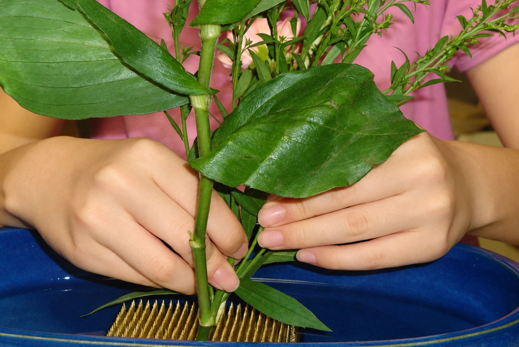 Des mains fixent des tiges feuillues sur un pique-fleurs dans un plat bleu.
