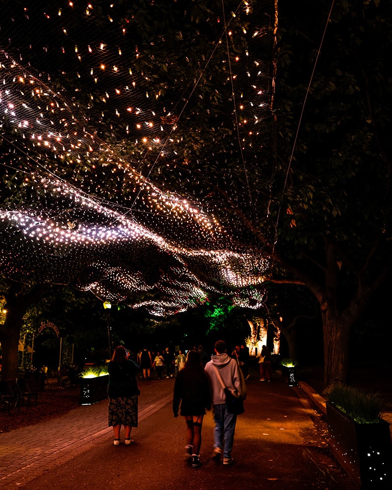 Des visiteurs marchent sous une voûte de petites lumières sur un sentier du jardin.