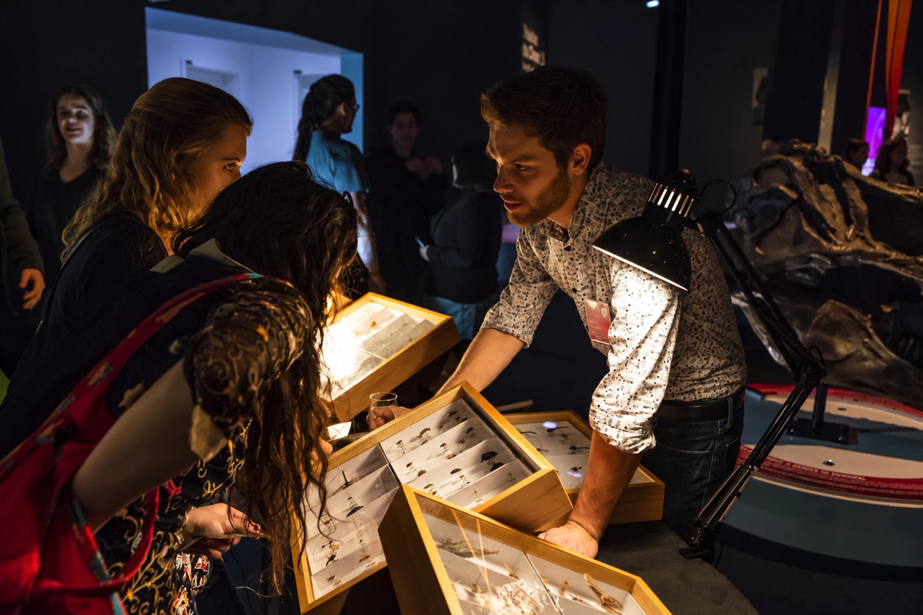 A researcher shows insect specimen boxes to visitors at a dimly lit table.
