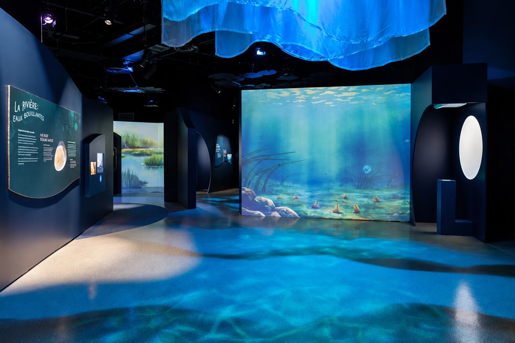 Un éclairage bleu et des images sous-marines remplissent une salle d’exposition immersive.