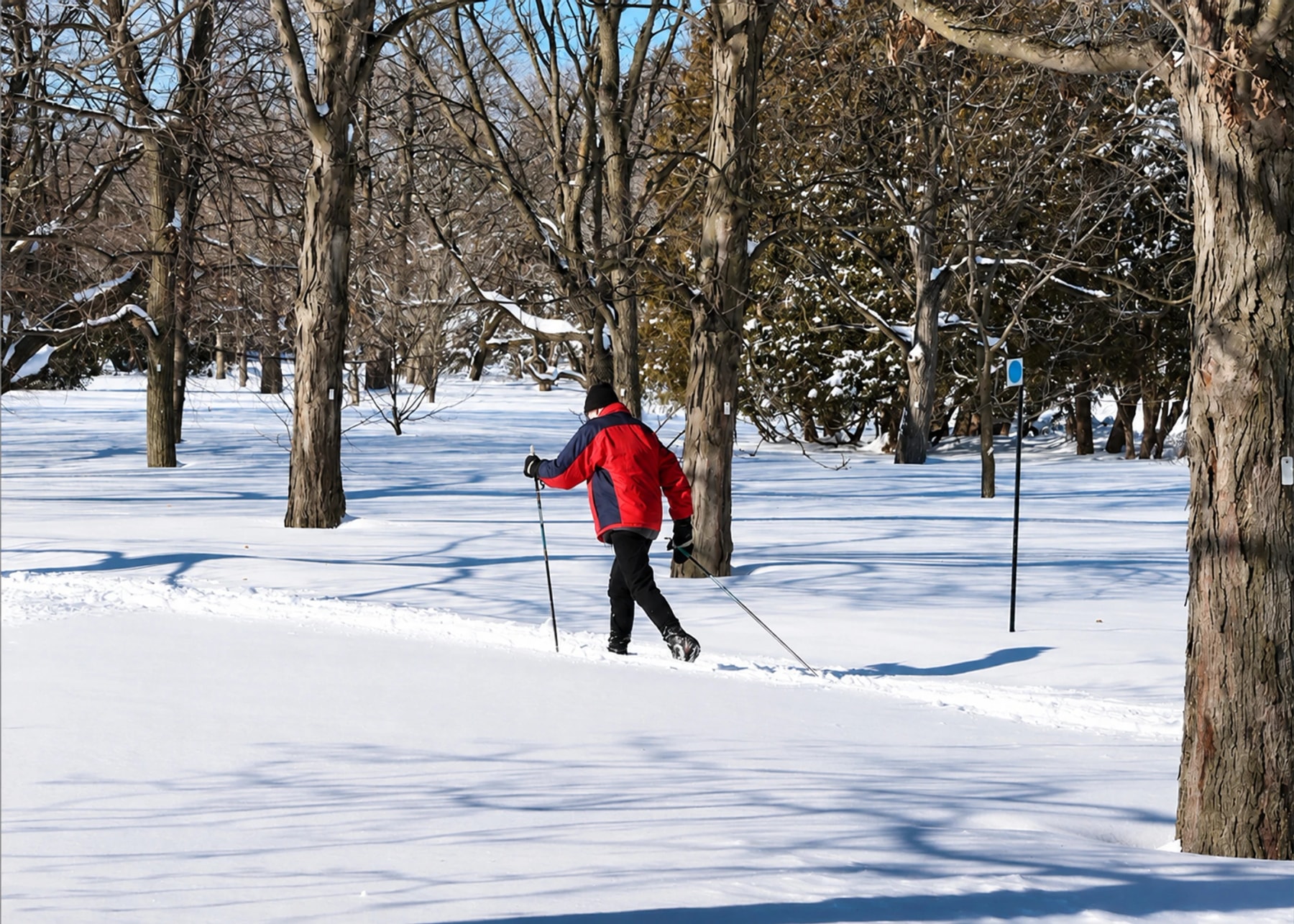 Une personne en veste rouge fait du ski sur un sentier enneigé entre les arbres.