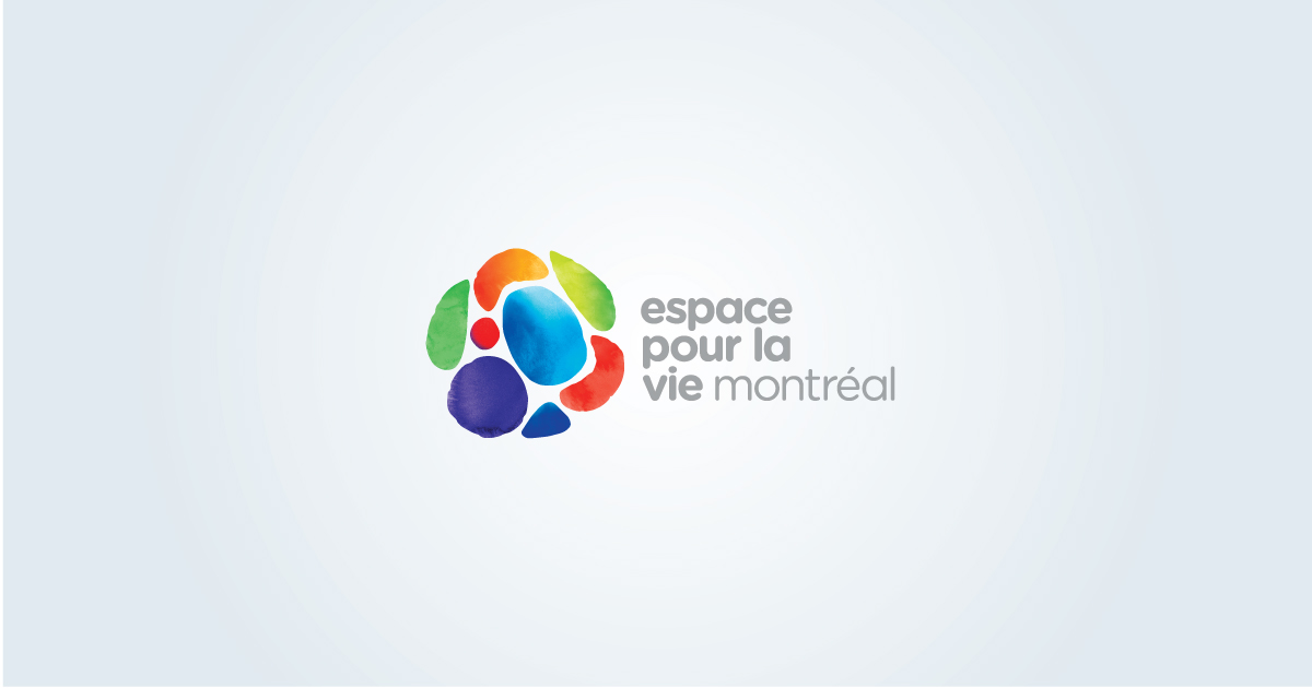 Preview image published by espacepourlavie.ca